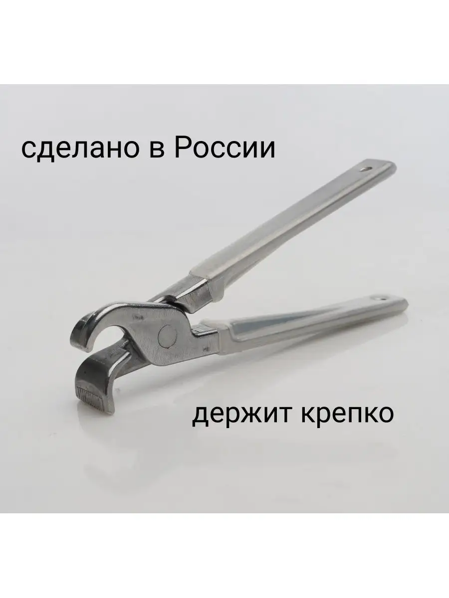 Чапельник сковородник прозрачный